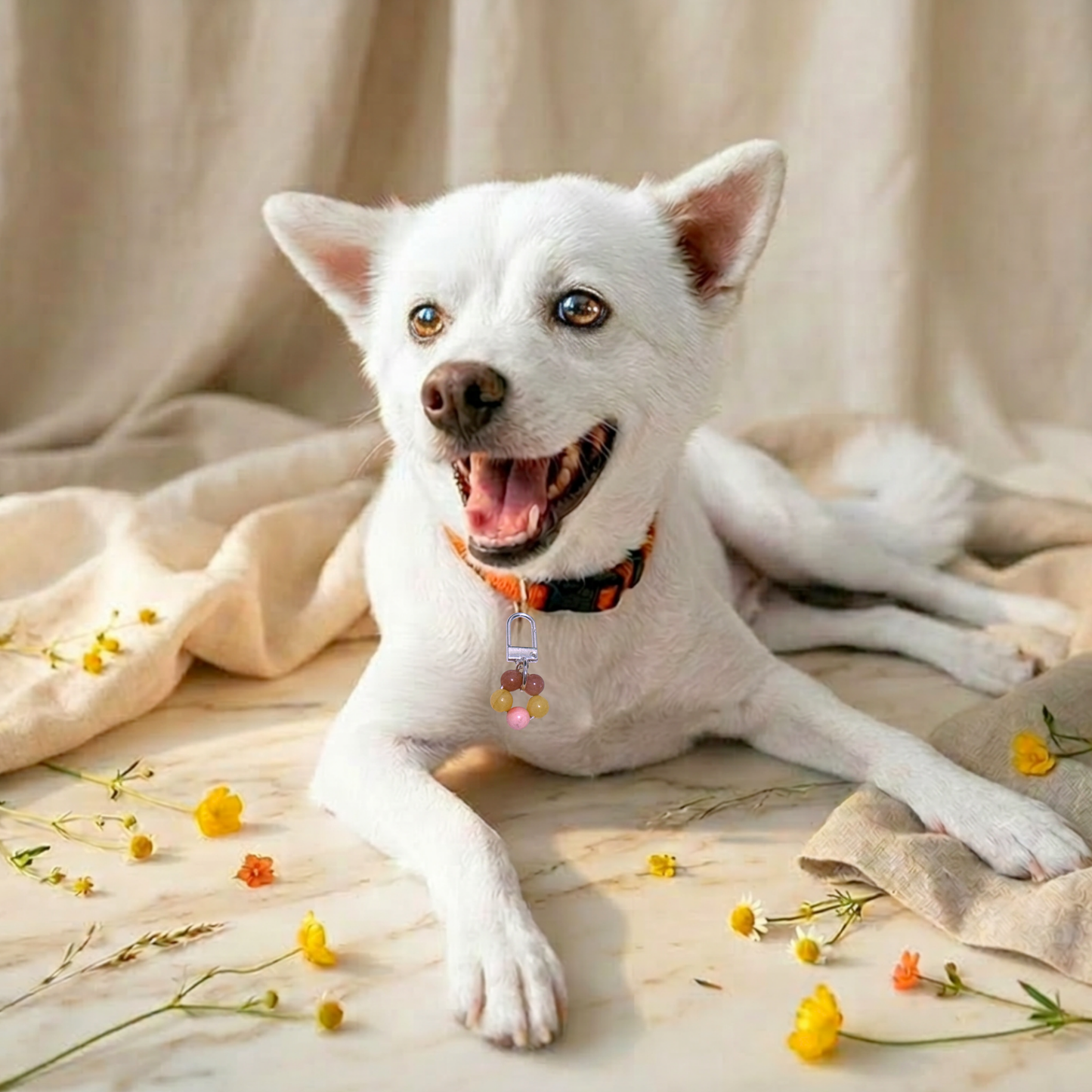 Crystal Pet Charm - Belly Easy