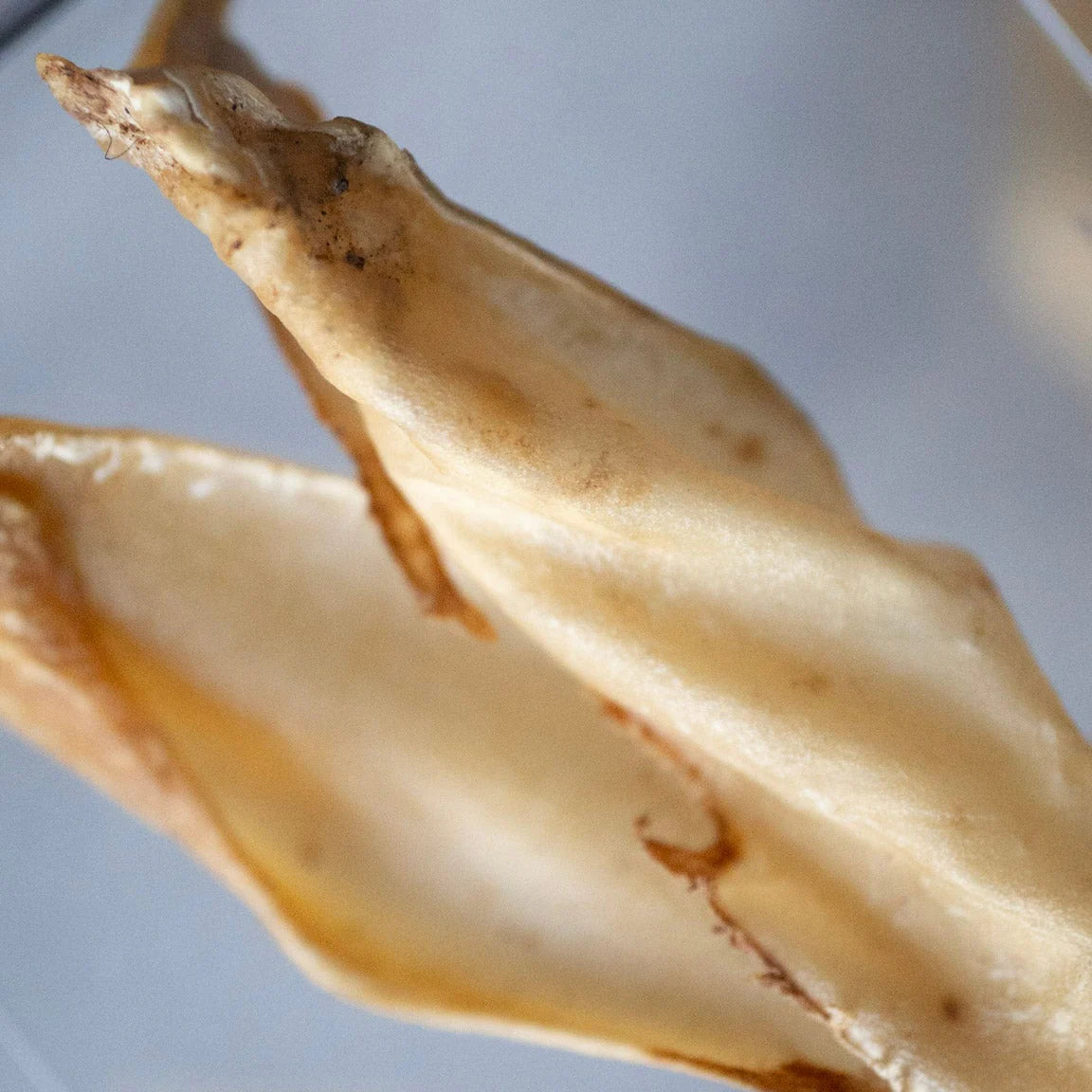 Knine Culture - Beef Skinless Ear