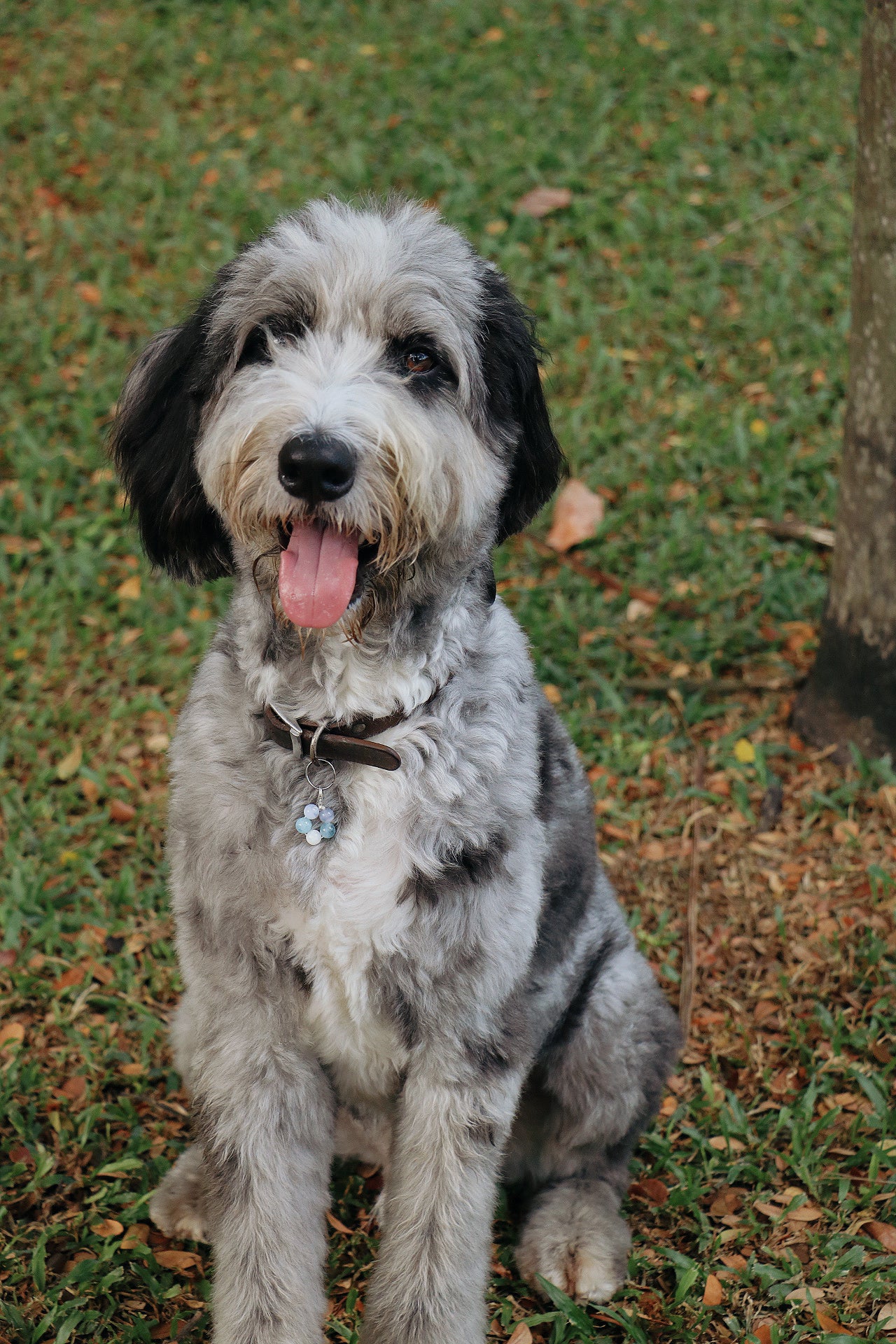 crystal pet charms - tranquility