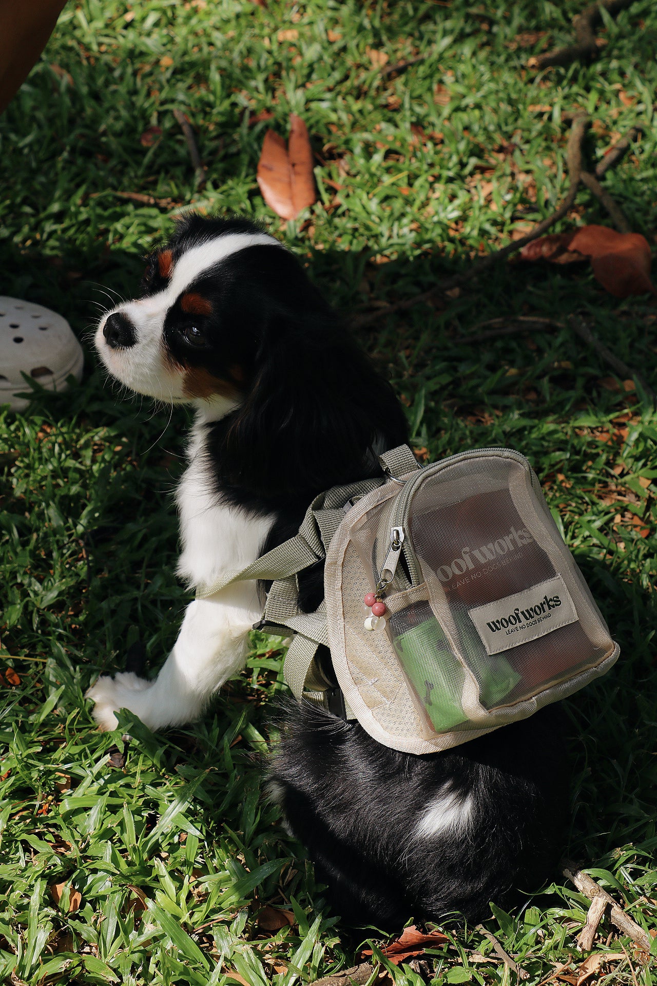 pet barkpack