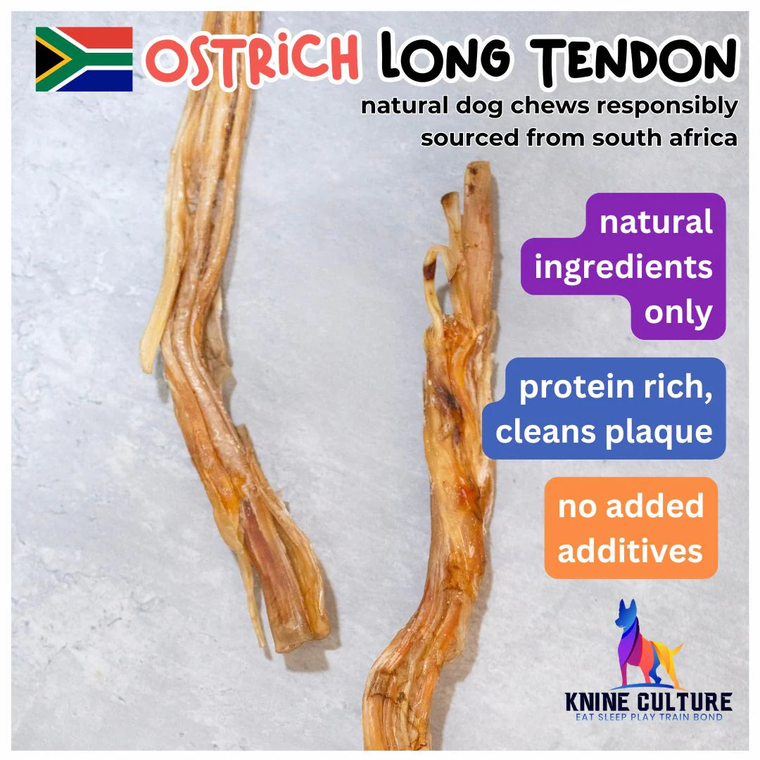 Knine Culture - Ostrich Long Tendon
