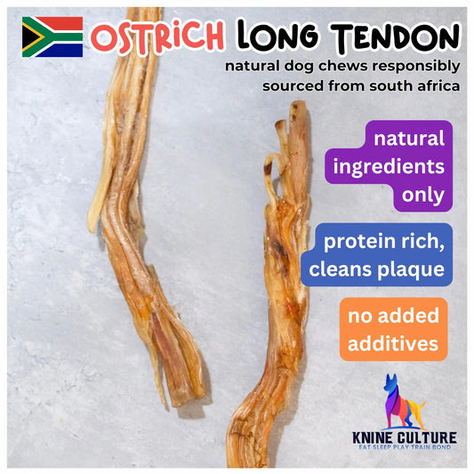 Knine Culture - Ostrich Long Tendon