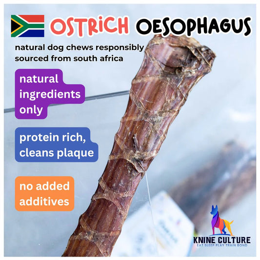 Knine Culture - Ostrich Oesophagus