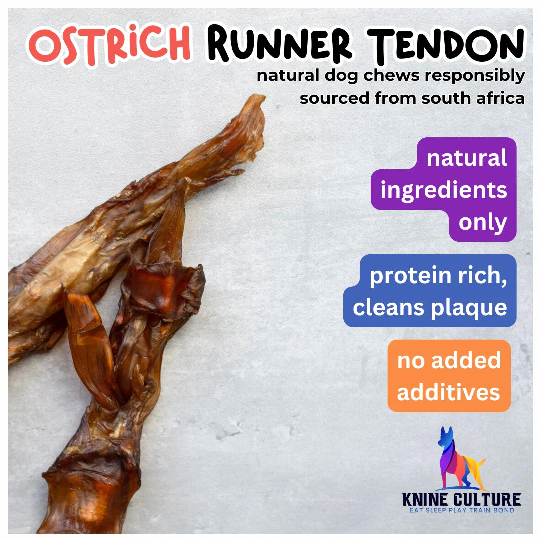 Knine Culture - Ostrich Runner Tendon