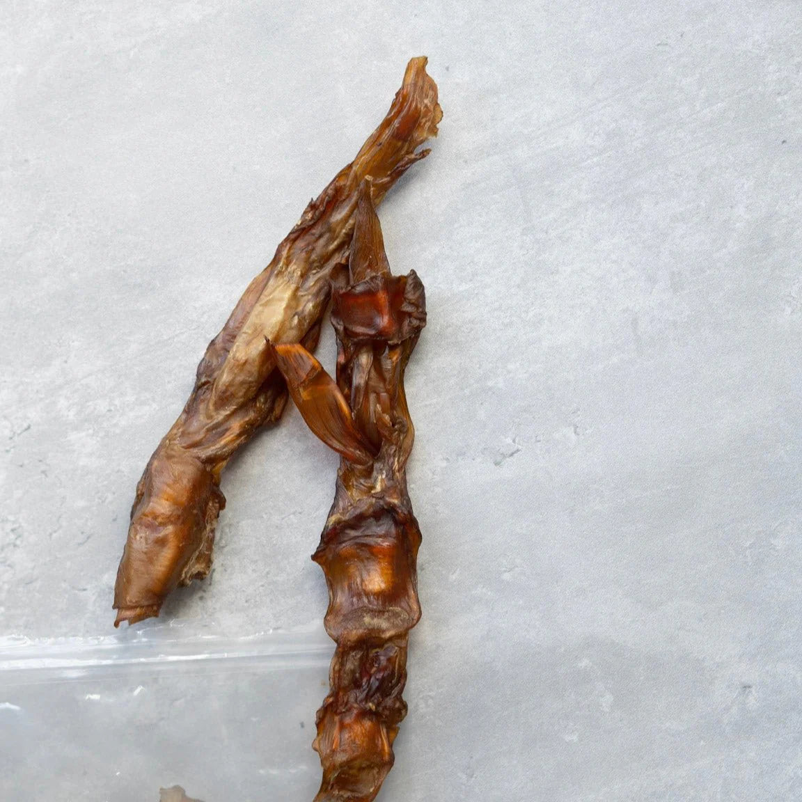 Knine Culture - Ostrich Runner Tendon