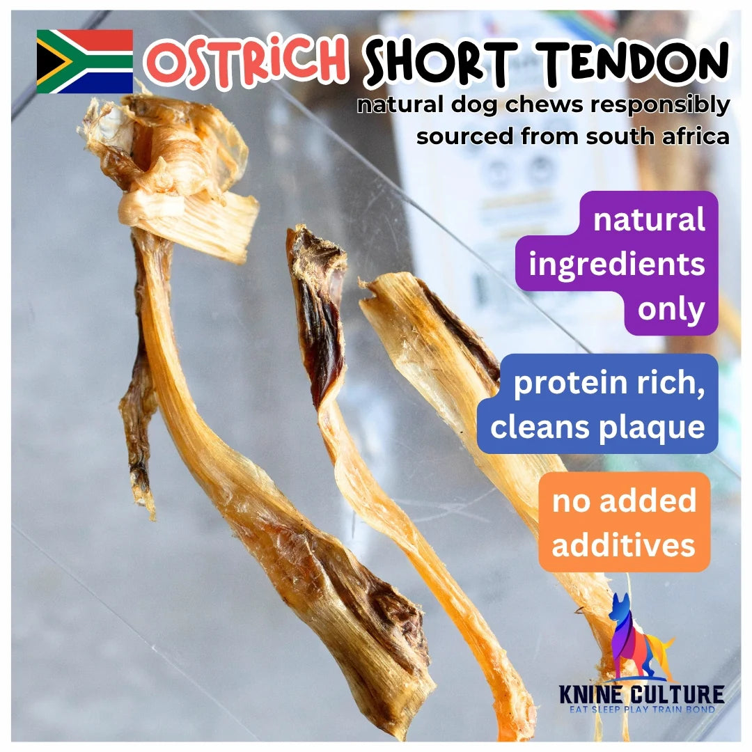 Knine Culture - Ostrich Short Tendon