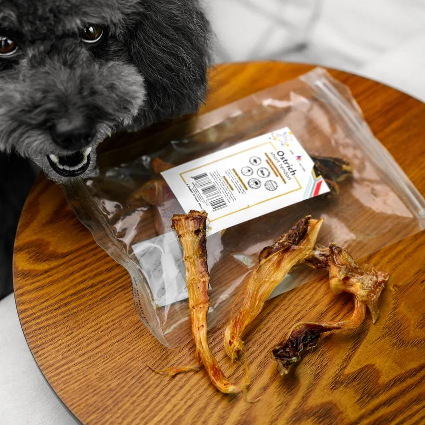 Knine Culture - Ostrich Short Tendon