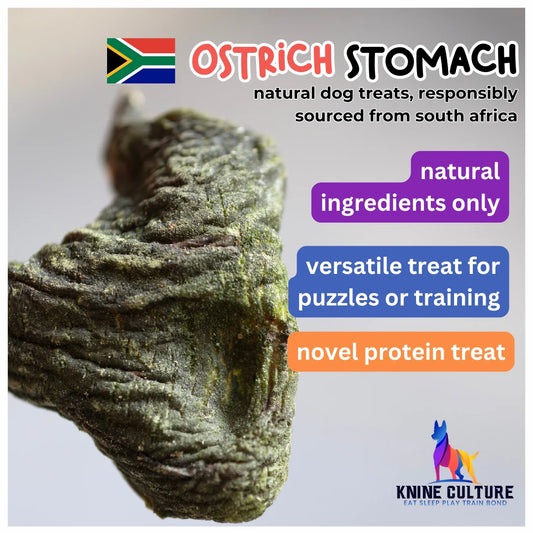Knine Culture - Ostrich Stomach