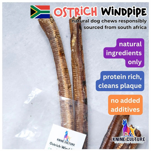 Knine Culture - Ostrich Windpipe (Trachea)
