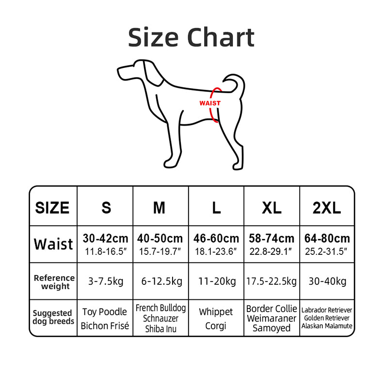 Dog Pee Pants
