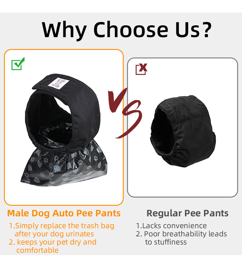 Dog Pee Pants