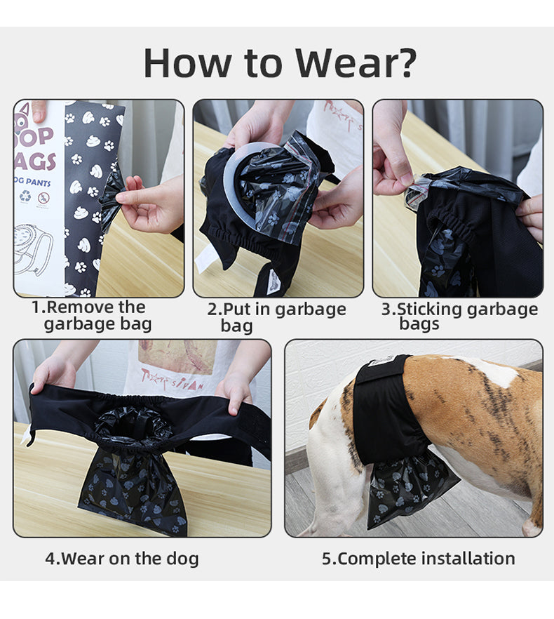 Dog Pee Pants