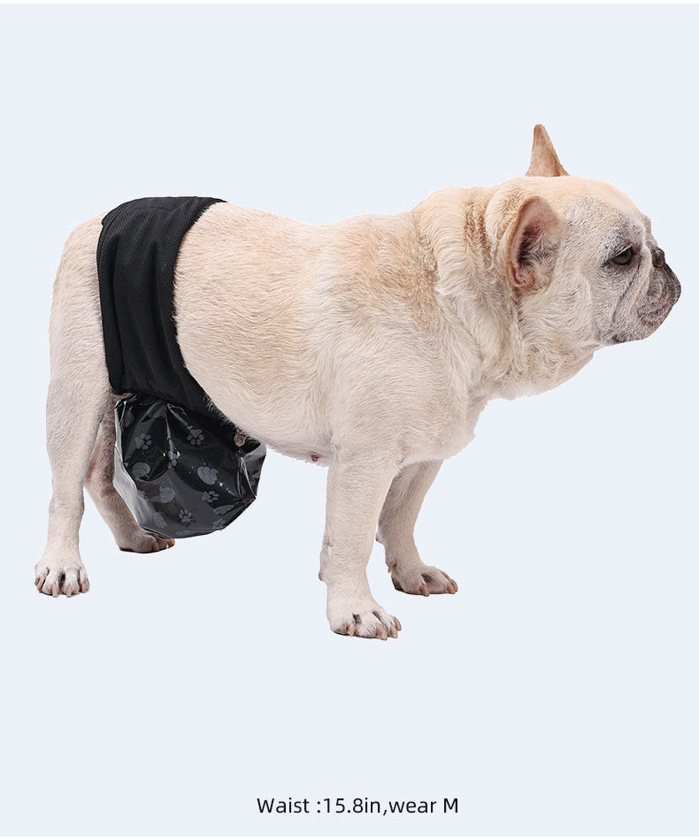 Dog Pee Pants