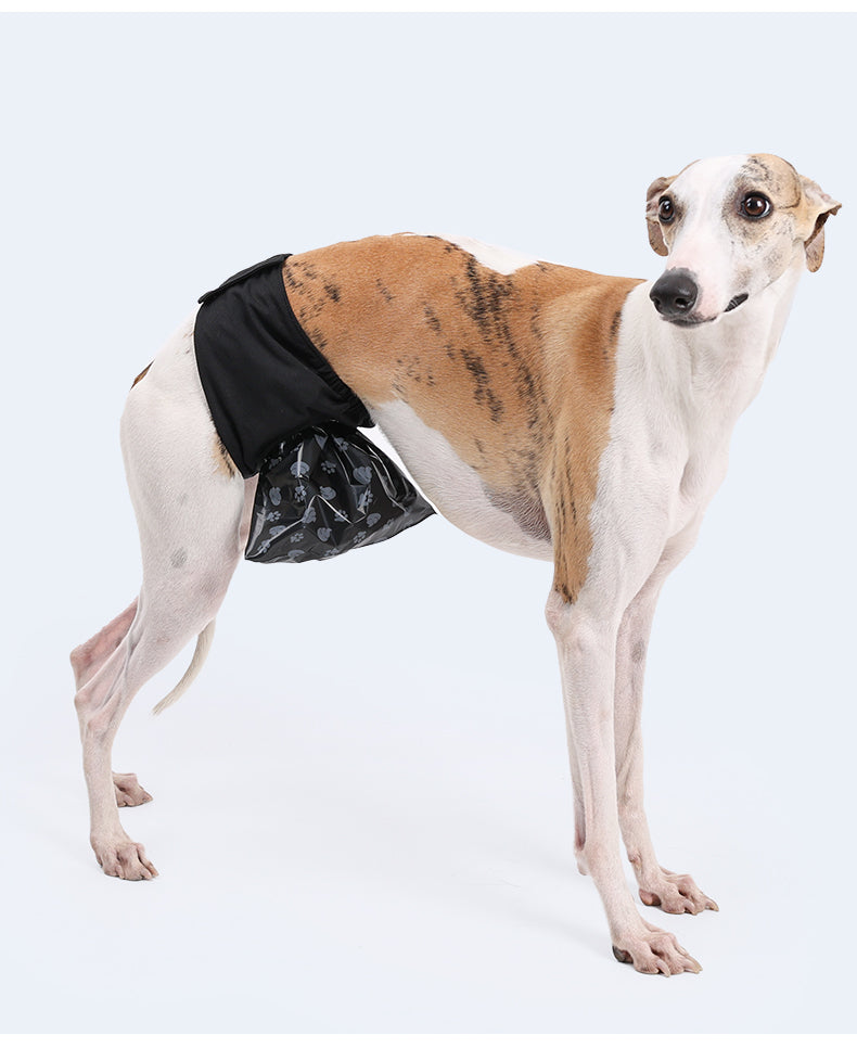 Dog Pee Pants