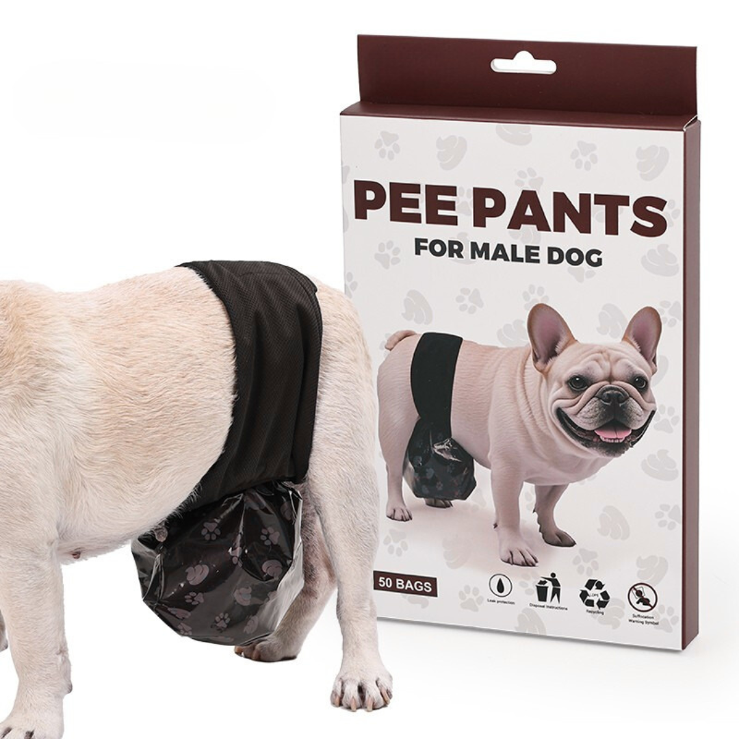 Dog Pee Pants