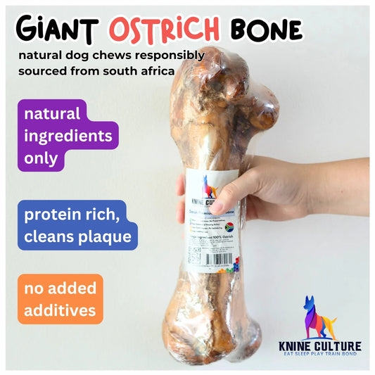 Knine Culture - Ostrich Long Tendon