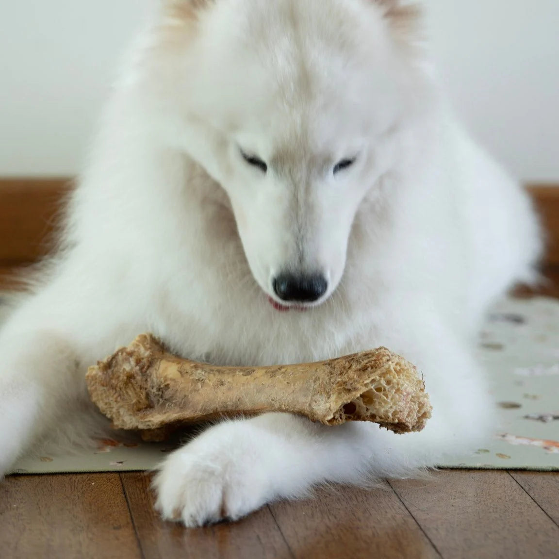 Knine Culture - Premium Ostrich Bone