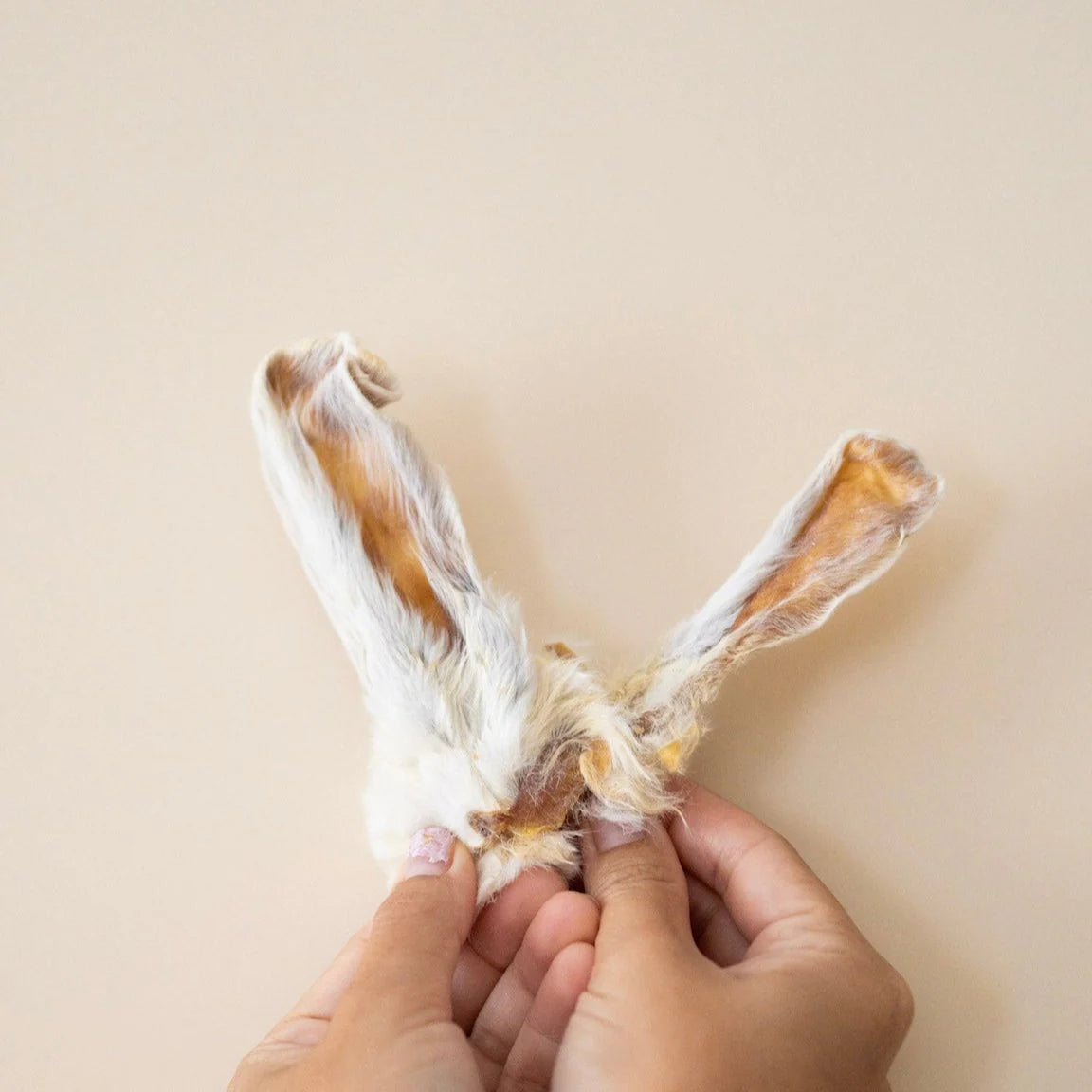 Knine Culture - Rabbit Ears with Fur