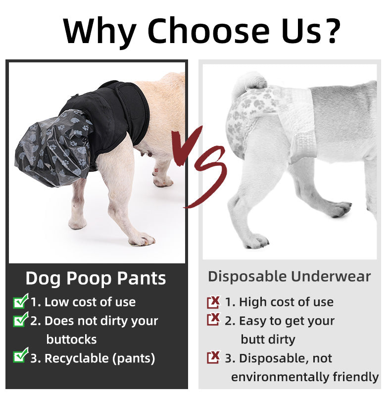 Dog Poop Pants