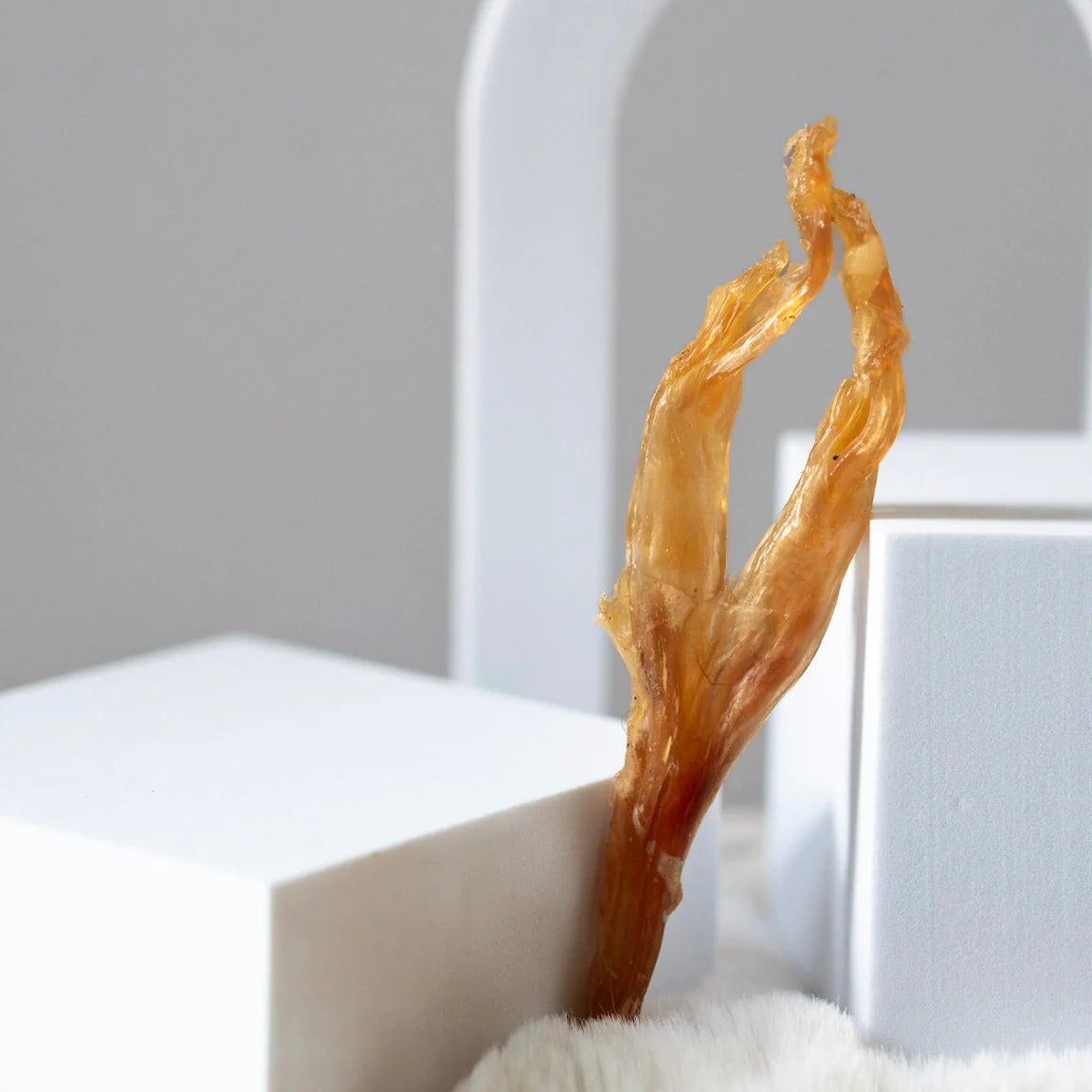 Knine Culture - Veal Spring Tendon (Achilles Tendon)