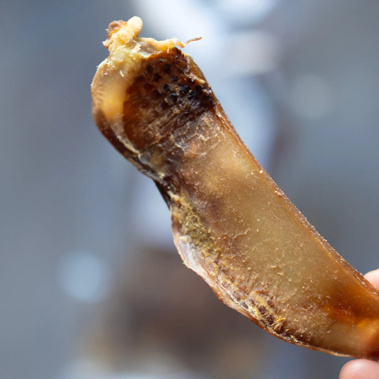 Knine Culture - Venison Cartilage