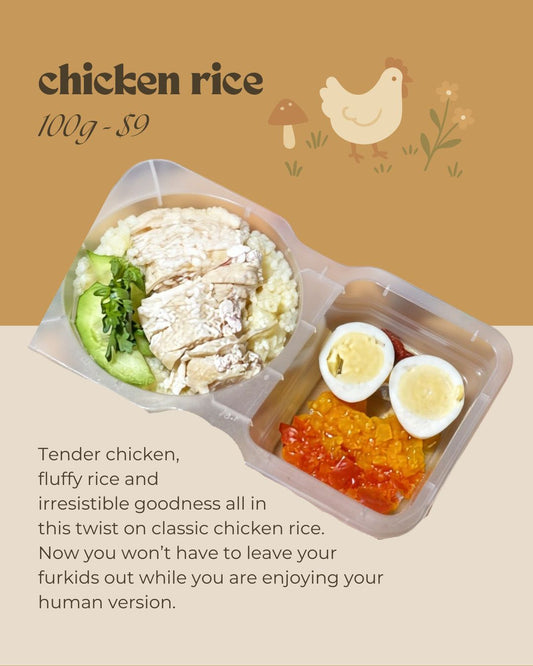 Chicken rice