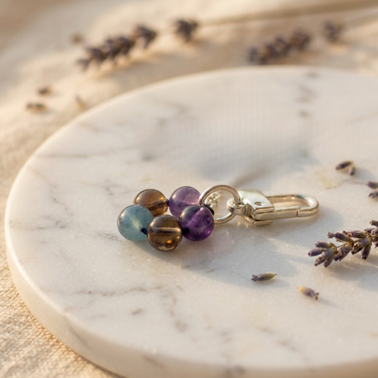 Crystal Pet Charm - Safe and Sound