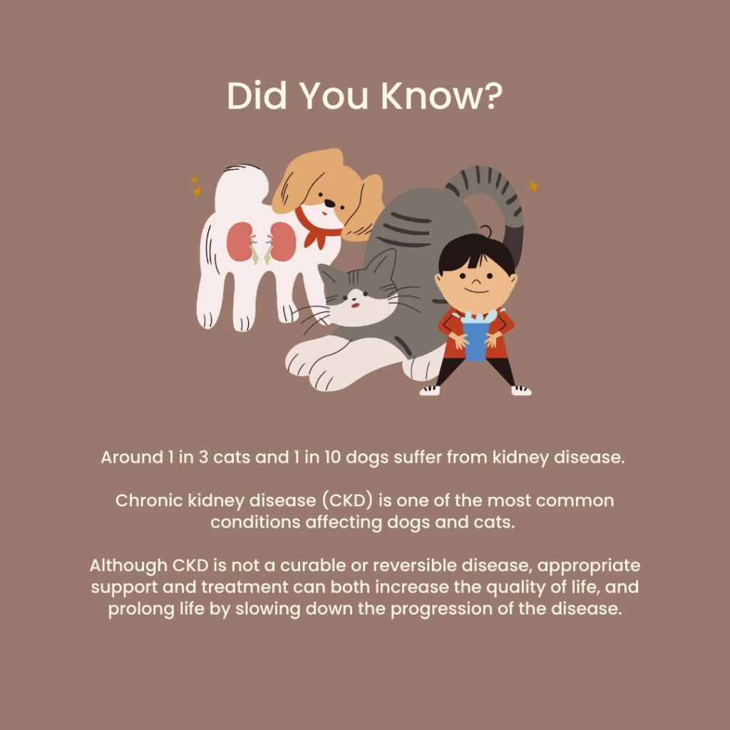 Tuck Kee Pets Renal Boost Kidney Support