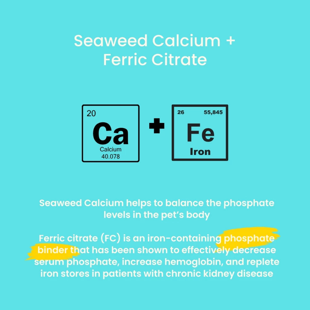 Tuck Kee Pets Renal Boost Kidney Support