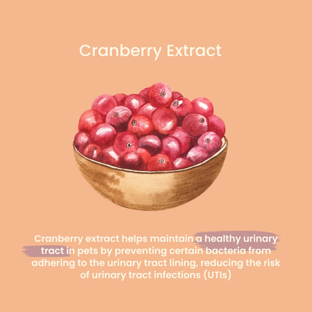 Tuck Kee Pets Renal Boost Kidney Support