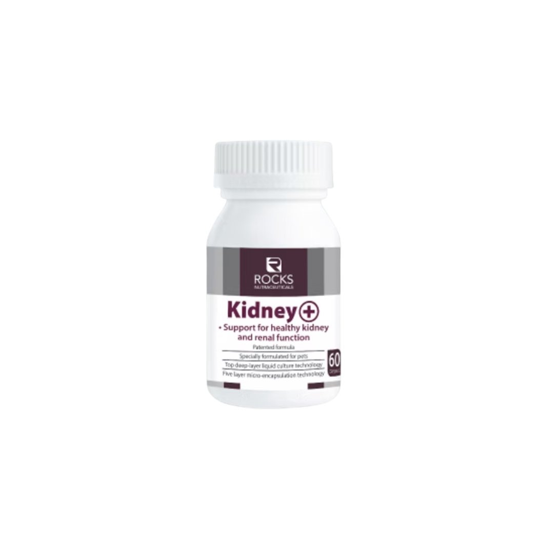 Rocks Nutraceuticals Kidney+