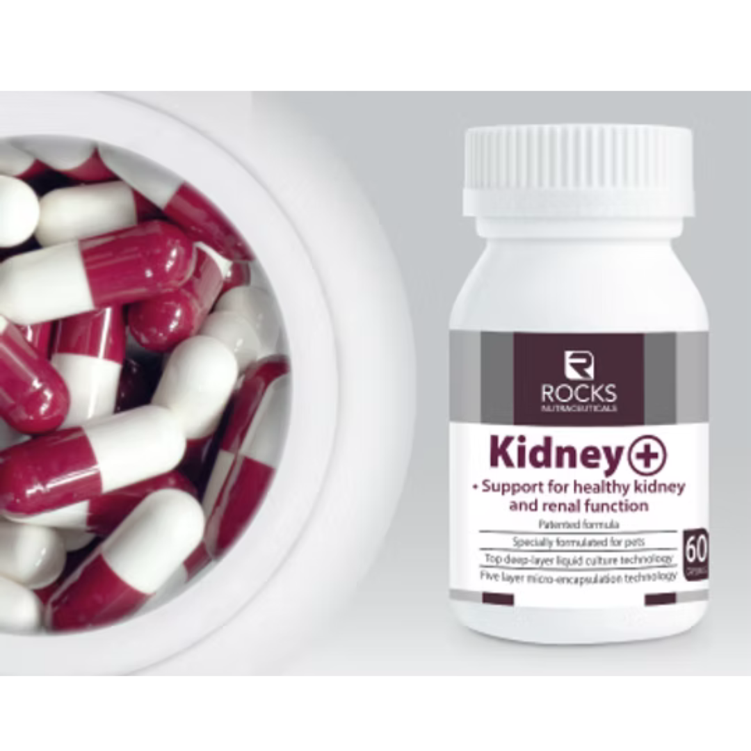 Rocks Nutraceuticals Kidney+