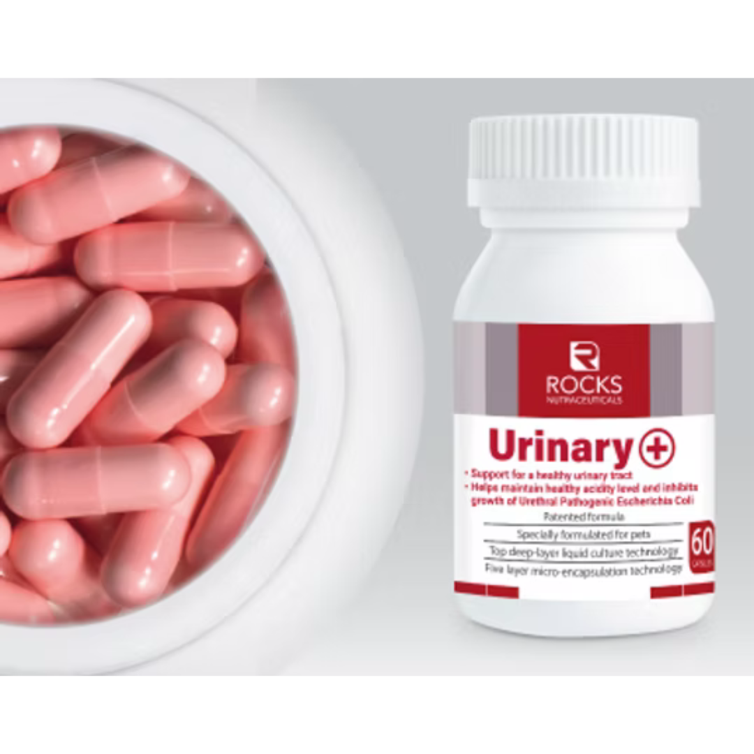 Rocks Nutraceuticals Urinary+