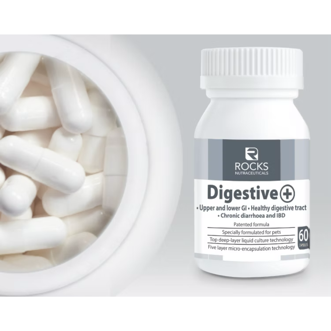 Rocks Nutraceuticals Digestive+