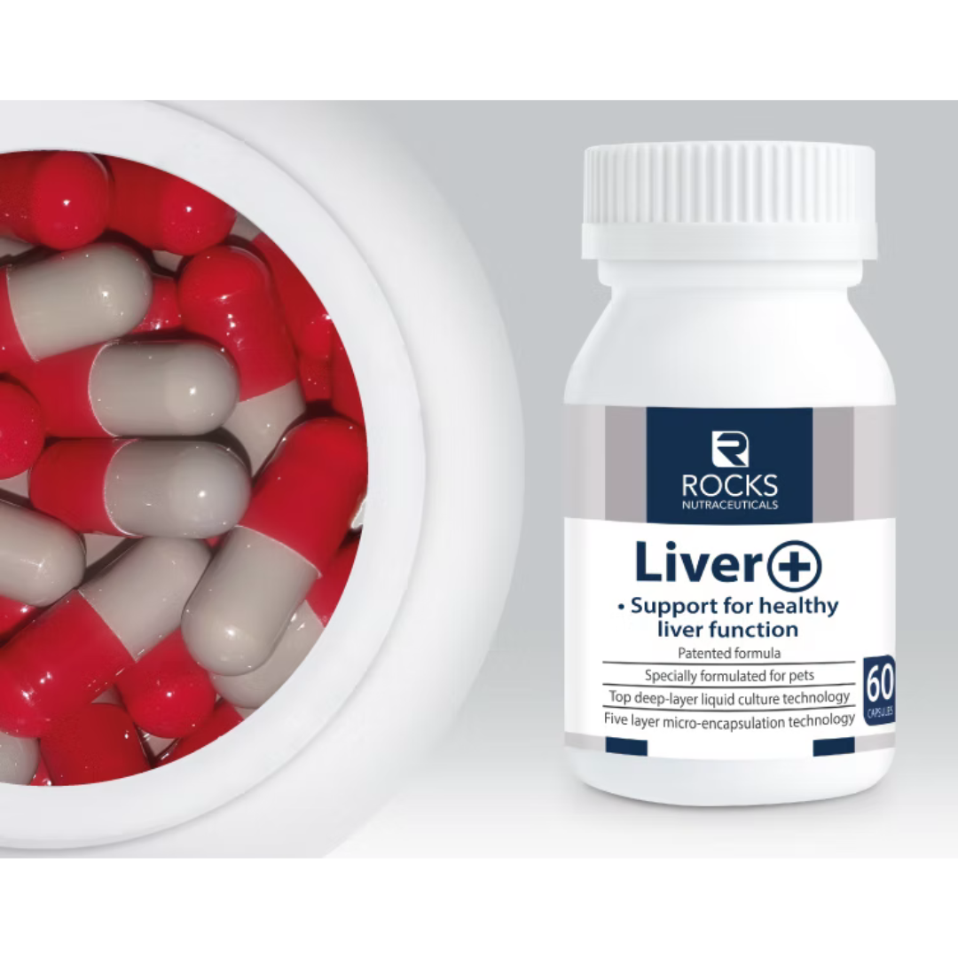 Rocks Nutraceuticals Liver+