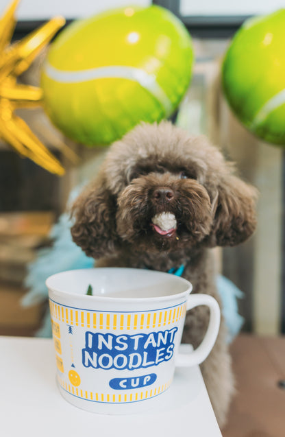 Happy dog eating customised dog-friendly birthday noodles at a dog-friendly event space