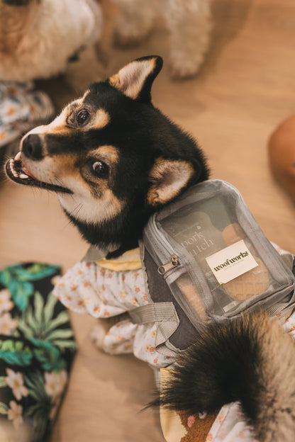 Happy dogs with presents at a dog-friendly event space at woofworks