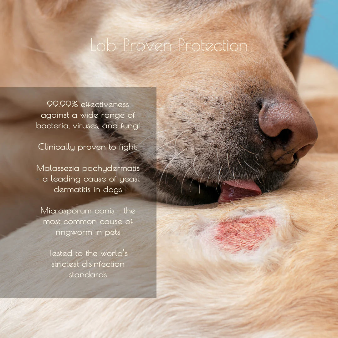 Tuck Kee Pets Hotspot Defense Spray