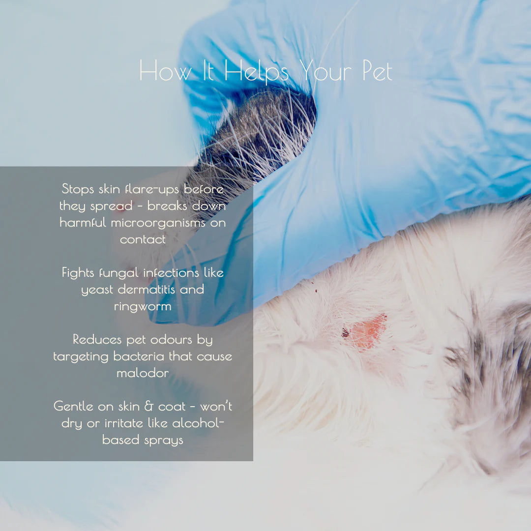 Tuck Kee Pets Hotspot Defense Spray