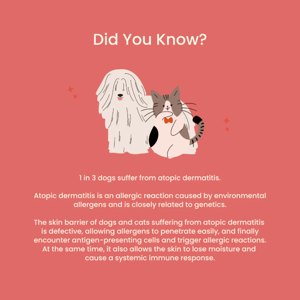 Tuck Kee Pets Glow Up Skin & Coat Supplement