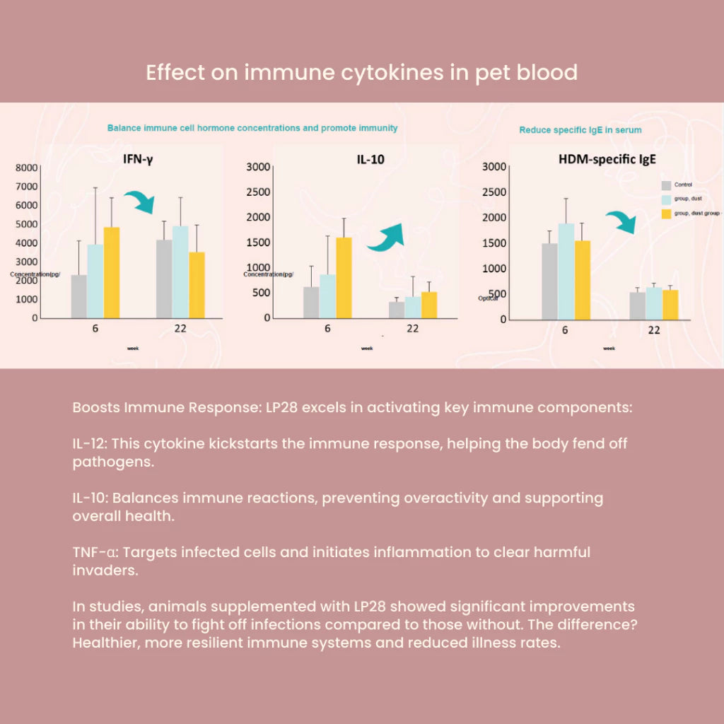 Tuck Kee Pets Glow Up Skin & Coat Supplement