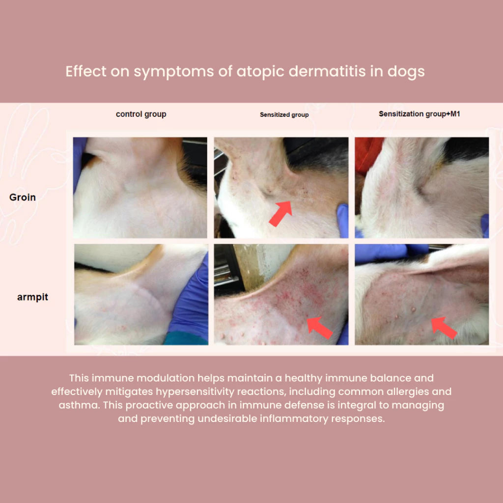 Tuck Kee Pets Glow Up Skin & Coat Supplement