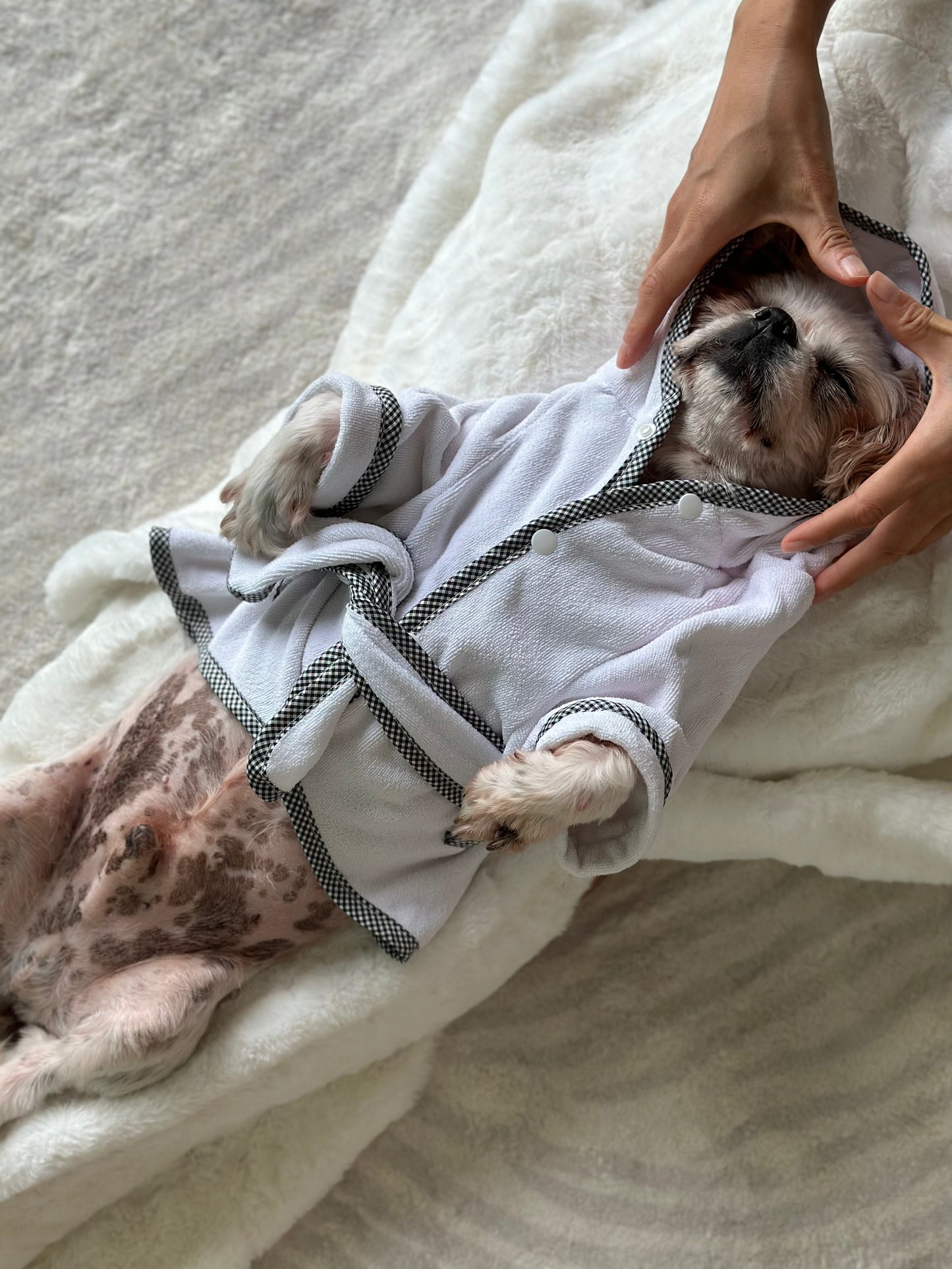 dog massage at woofworks